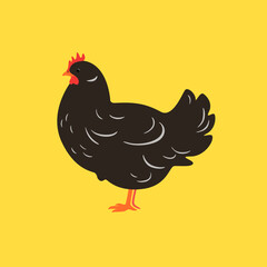 Poultry farm bird. Illustration of Chicken isolated on yellow background.