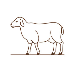 Cute sheep. Detailed drawing of animal. Contour vector illustration.