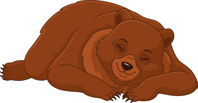 Sleeping bear isolated on white background cartoon illustration