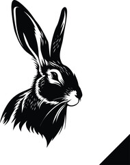 black and white rabbit