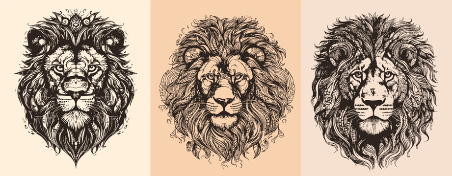 Lion head isolated background. Vector illustration