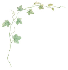 Watercolor hand drawn flower png illustration. Floral clipart on transparent background. 