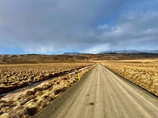 Fototapeta na wymiar Piste de terre et de gravier parcourue par 4*4 traversant les contrées les plus reculées d’Islande avec une végétation jaune du fait de l’hiver 