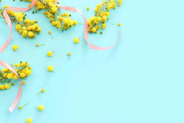 Top view image of spring yellow mimosa flowers composition over pastel blue background