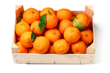 Orange tangerines with green leaves in box. Isolated on white background