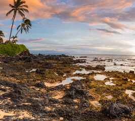 Fototapeta na wymiar Palm Trees and Sand on Big Beach, Makena State Park, Maui, Hawaii, USA