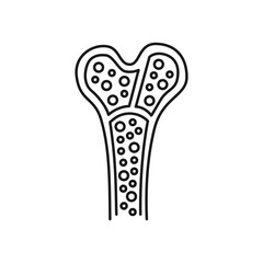 Human bone marrow icon. High quality black vector illustration. - obrazy, fototapety, plakaty