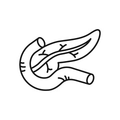 Human pancreas icon. High quality black vector illustration.