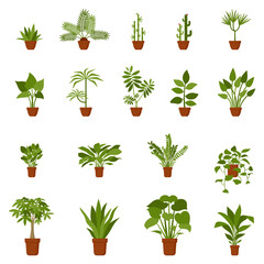 Home pot flower plant vector illustration set. Indoor office house gardening horticulture nature lifestyle flat style collection