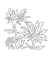 Hand drawn flower line art

