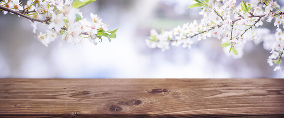 Empty wooden counter for product presentation with cherry blossoms. Horizontal spring background...