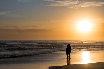 A man and a woman gazing at the sea at sunset on the beach.