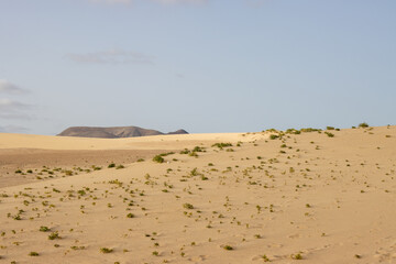 Fototapeta na wymiar Desert and a blue sky, Fuerteventura