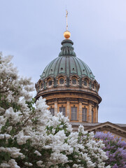 Kazan Cathedral and lilacs. Flowers and landmark of St. Petersburg. A tourist route through the blooming city. A city in lilac flowers.Visit card of St. Petersburg