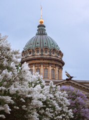 Kazan Cathedral and lilacs. Flowers and landmark of St. Petersburg. A tourist route through the blooming city. A city in lilac flowers.Visit card of St. Petersburg