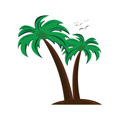 vector illustration of a coconut tree
