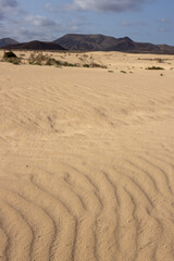 Desert and a blue sky, Fuerteventura