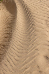 Wavy texture of a sand, Fuerteventura
