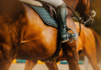 A rider in black leather boots rides on a bay horse in the saddle. Equestrian sports and...