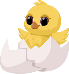 Obraz premium Cute hatched chick. A newborn chick in a cracked egg. Vector cartoon illustration for Easter and more. Isolated on white background.