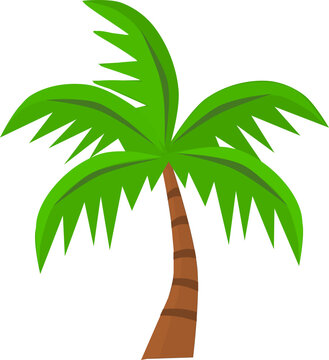Palm tree drawing vector art. Vector illustration. Tropical summer tree.