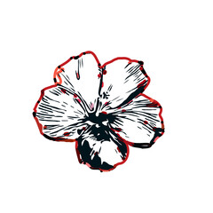 Color sketch of a shoe flower with transparent background