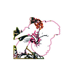 Color sketch of a shoe flower with transparent background