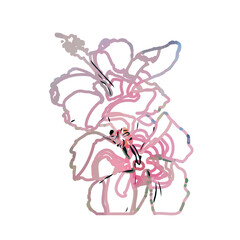 Color sketch of a shoe flower with transparent background