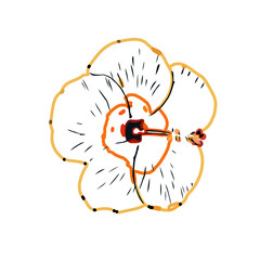 Color sketch of a shoe flower with transparent background