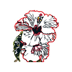 Color sketch of a shoe flower with transparent background