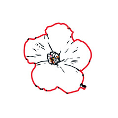 Color sketch of a shoe flower with transparent background