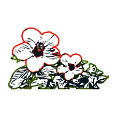 Color sketch of a shoe flower with transparent background
