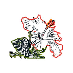 Color sketch of a shoe flower with transparent background