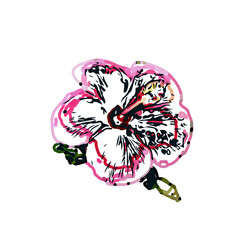 Color sketch of a shoe flower with transparent background