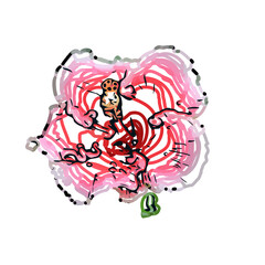 Color sketch of a shoe flower with transparent background