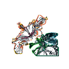 Color sketch of a shoe flower with transparent background