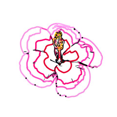 Color sketch of a shoe flower with transparent background