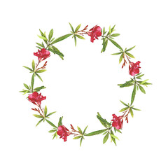Watercolor illustration of Oleander. Set with flowers and leaves. Hand-drawn isolated clip art on a white background. Bright watercolor for holiday cards, wedding invitations, textiles, print design
