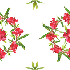 Watercolor illustration of Oleander. Set with flowers and leaves. Hand-drawn isolated clip art on a white background. Bright watercolor for holiday cards, wedding invitations, textiles, print design