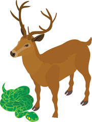 Wild animal icon isometric vector. Noble deer animal near big green anaconda. Biological diversity concept