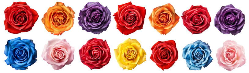 set of isolated different colored rose flowers. Created with Generative AI - obrazy, fototapety, plakaty
