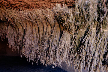 Bouquets of Lavender dried in cave in Cappadocia Turkey