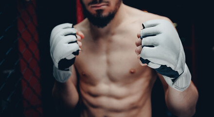 Fototapeta na wymiar Sport MMA banner. Boxers fighter in ring octagon, dark background spot light