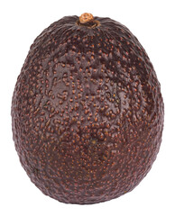 One single avocado isolated on white or transparent background
