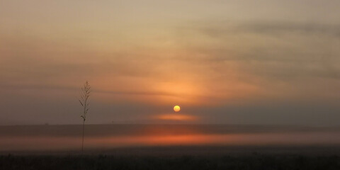 African Sunset in Kruger National Park
