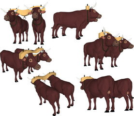 Buffalo illustration vector sketch for cow races in Madura