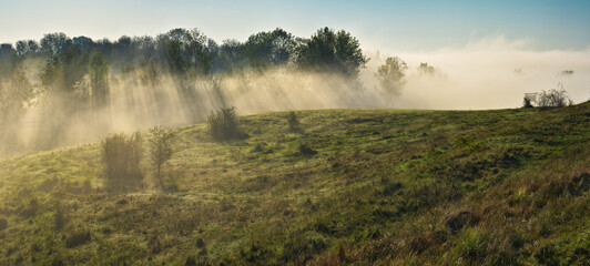 Fototapeta na wymiar Trees in the Fog. Autumn morning. Nature of Ukraine