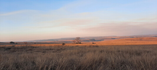 Fototapeta premium Savanna landscapes in Ezemvelo Nature Reserve