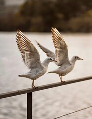 Vertical shot of seagulls preparing to fly away from a metal fence with the sea in the background