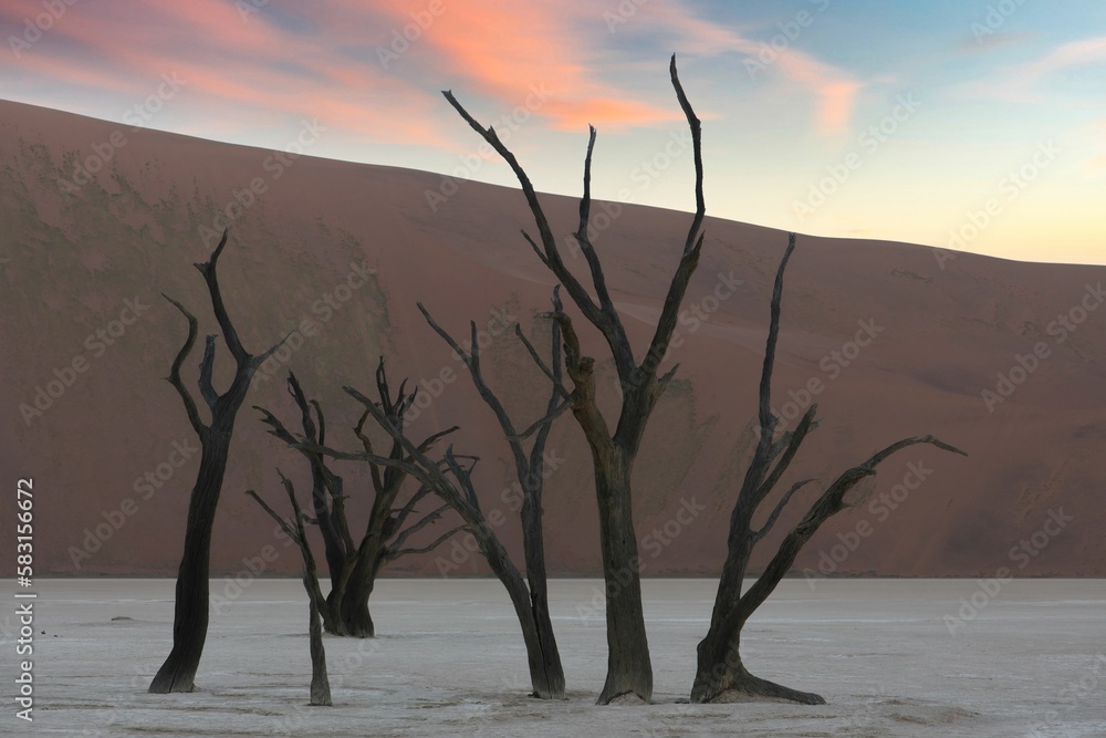 Sticker Namibia, the Namib desert, dead acacias 